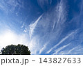 秋の青空と雲と樹木 143827633