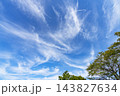秋の青空と雲と樹木 143827634