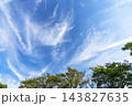 秋の青空と雲と樹木 143827635