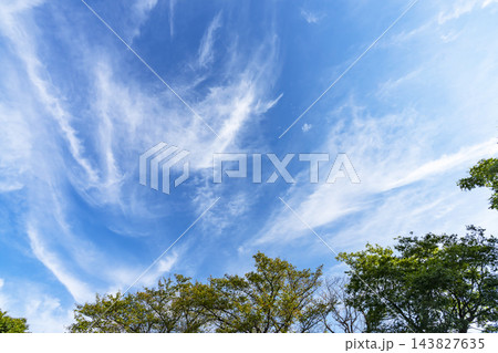 秋の青空と雲と樹木 143827635