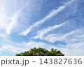 秋の青空と雲と樹木 143827636