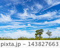 秋の青空と雲と草原 143827663