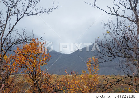 Dramatic Northern Mountain Ridge Framed by Bare Autumn Tree Branches 143828139