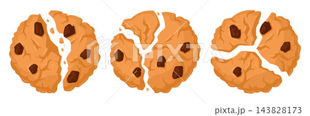 Chocolate chip cookies. Whole, bitten and broken biscuits with chocolate chunks flat vector illustration set. Bakery branding and snack packaging assets 143828173