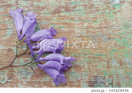 purple flower on old wooden board purple flower on old wooden board 143829456