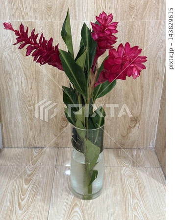 Pink Tropical Flowers in Glass Vase Pink Tropical Flowers in Glass Vase 143829615