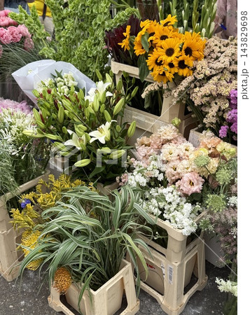 Colorful flower shop display with lilies, sunflowers, chrysanthemums, and potted plants arranged indoors 143829698