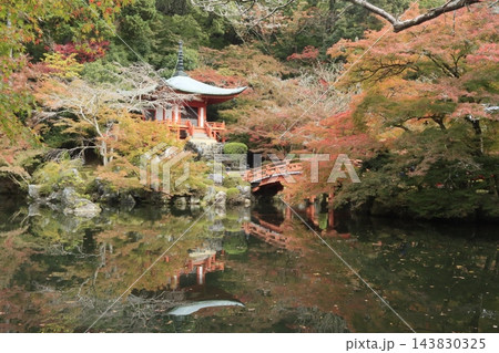 醍醐寺弁天池の水面に映るお堂と秋の木々 醍醐寺弁天池の水面に映るお堂と秋の木々 143830325