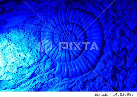 Large Spiral Ammonite Fossil Relief Carving with Blue Light Effect Large Spiral Ammonite Fossil Relief Carving with Blue Light Effect 143830955