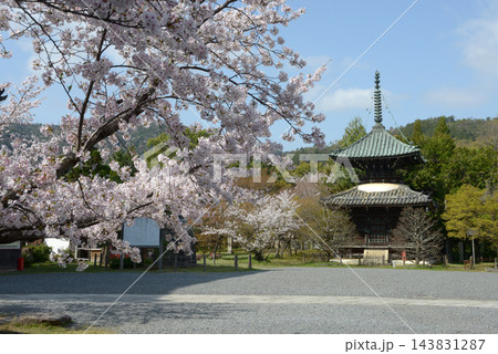 春の清涼寺 多宝塔 京都市右京区嵯峨釈迦堂藤ノ木町 春の清涼寺 多宝塔 京都市右京区嵯峨釈迦堂藤ノ木町 143831287