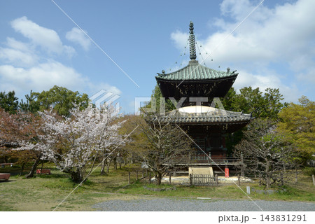 春の清涼寺 多宝塔 京都市右京区嵯峨釈迦堂藤ノ木町 春の清涼寺 多宝塔 京都市右京区嵯峨釈迦堂藤ノ木町 143831291
