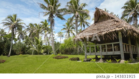 Thatched roof bungalow offering a peaceful retreat and relaxation, surrounded by a lush green lawn and abundant palm trees on tropical Port Resolution Tanna Island, Vanuatu. Travel, vacation, tourism 143831915