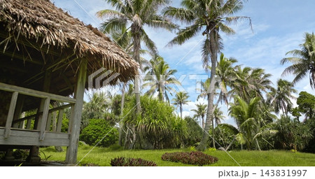 Tana Island, tropical paradise, Vanuatu village. Thatched hut bungalow under blue sky, surrounded by tall palm trees and lush green lawn and vegetation creating a tranquil scene. Zoom out panorama 143831997