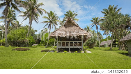 Thatched bungalow hut on a green lawn with lush tropical vegetation and towering coconut palm trees under a bright blue sky, creating a serene and idyllic island paradise. Port Resolution, Tana Island 143832026
