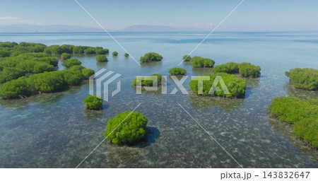 Indonesia, Gili Islands lush mangroves in clear turquoise water, framed by distant island horizon and blue sky, showcasing pristine tropical coastal ecosystem and conservation. Aerial drone flight 143832647