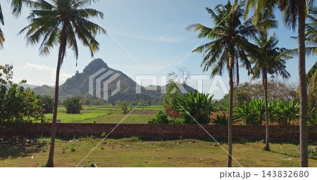 Tropical Lombok island landscape with towering green mountains, lush fields, and palm trees under bright blue sky, ideal for travel, exploration, relax concept. Exotic nature background of Indonesia Tropical Lombok island landscape with towering green mountains, lush fields, and palm trees under bright blue sky, ideal for travel, exploration, relax concept. Exotic nature background of Indonesia 143832680