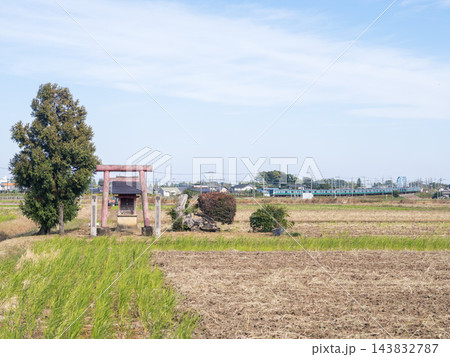 【川越線】稲刈り後の田園風景を通過する列車 143832787