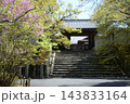 春の曼殊院　勅使門　京都市左京区一乗寺竹ノ内町 143833164