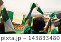 Soccer supporters, green scarves and raised arms fill stands as fans wave team colors above their heads. Fan culture, unity and crowd energy express collective enthusiasm during stadium match. 143833480