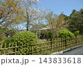 西圓寺　垣根と庭園　京都市左京区一乗寺小谷町 143833618
