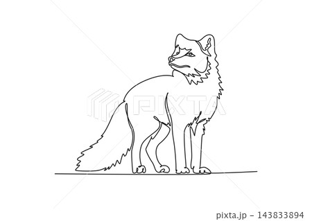 Single continuous line drawing wild Arctic fox standing alert, showcasing bushy tail, thick fluffy winter coat, pointed ear, and sharp facial features. One line draw graphic design vector illustration Single continuous line drawing wild Arctic fox standing alert, showcasing bushy tail, thick fluffy winter coat, pointed ear, and sharp facial features. One line draw graphic design vector illustration 143833894