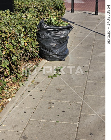 Garden Waste Bag Beside Pruned Rose Bushes on City Lawn Garden Waste Bag Beside Pruned Rose Bushes on City Lawn 143833964