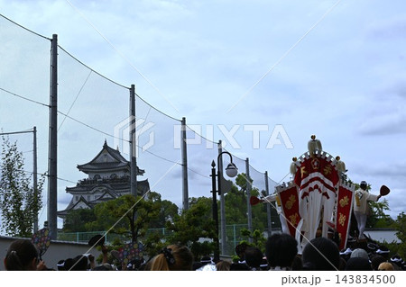 岸和田だんじり祭りの宮入 大阪 岸和田だんじり祭りの宮入 大阪 143834500