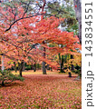 紅葉のある風景 143834551