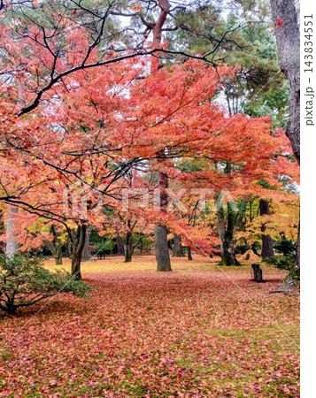 紅葉のある風景 紅葉のある風景 143834551