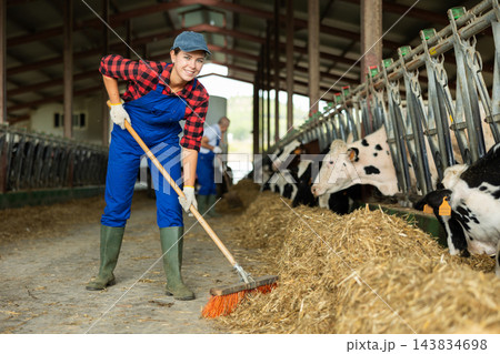Young woman sweeping hay in cowshed 143834698