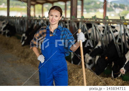 Portrait of woman working on livestock farm posing in cowshed near stall with herd of cows Portrait of woman working on livestock farm posing in cowshed near stall with herd of cows 143834711