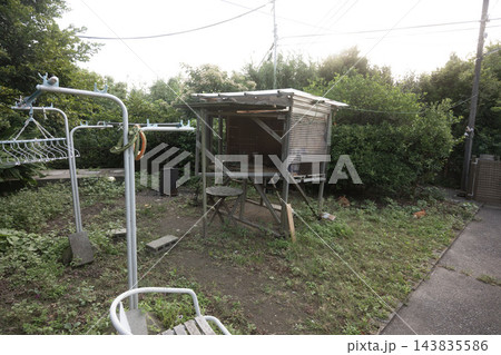 豊かな緑と雑草が広がる庭先に建つ、手作りの素朴な鶏小屋の風景 豊かな緑と雑草が広がる庭先に建つ、手作りの素朴な鶏小屋の風景 143835586