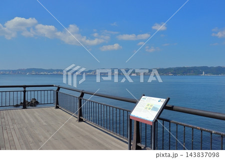 桜島溶岩なぎさ公園から眺める鹿児島市街(鹿児島県鹿児島市) 桜島溶岩なぎさ公園から眺める鹿児島市街(鹿児島県鹿児島市) 143837098