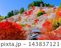 紅葉と四季桜に包まれる秋の山 143837121