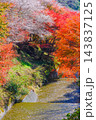 紅葉と四季桜の中を流れる川（縦） 143837125