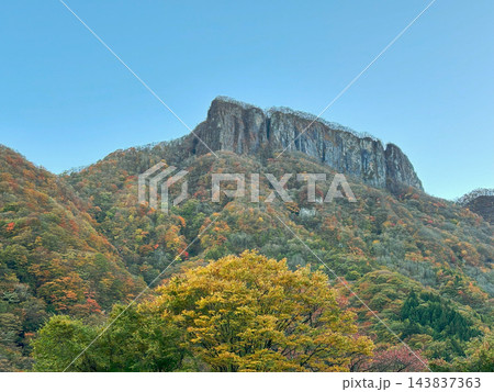 11月のさわやかな秋晴れ 黄葉の木越しに見仰ぐ荒船山と艫岩の岩壁 143837363