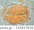 写真素材：ザルに入った茹でたてのワタリガニ（2杯） 143837816