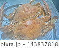 写真素材：ザルに入った茹でたてのワタリガニ（2杯） 143837818