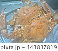 写真素材：ザルに入った茹でたてのワタリガニ（2杯） 143837819