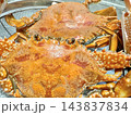 写真素材：ザルに入った茹でたてのワタリガニ（2杯） 143837834