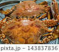 写真素材：ザルに入った茹でたてのワタリガニ（2杯） 143837836