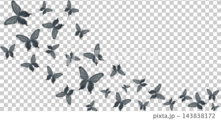 Black swallowtail butterflies forming an elegant watercolor frame on a white background. Delicate decorative composition with copy space perfect for invitations, greeting cards, posters and packaging Black swallowtail butterflies forming an elegant watercolor frame on a white background. Delicate decorative composition with copy space perfect for invitations, greeting cards, posters and packaging 143838172