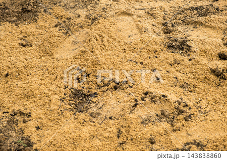 A detailed view reveals sandy soil with fine grains, small rocks, and a textured surface, showing earthy tones and natural elements. A detailed view reveals sandy soil with fine grains, small rocks, and a textured surface, showing earthy tones and natural elements. 143838860