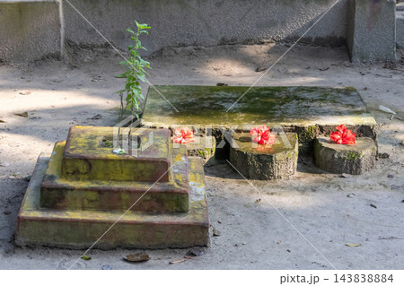 Sacred Tulsi Mancha altar with holy basil plant and red hibiscus flowers. Traditional Hindu worship shrine in a rural South Asian courtyard. Sacred Tulsi Mancha altar with holy basil plant and red hibiscus flowers. Traditional Hindu worship shrine in a rural South Asian courtyard. 143838884