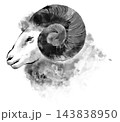 未年の年賀状に使える羊の水墨画風イラスト 143838950