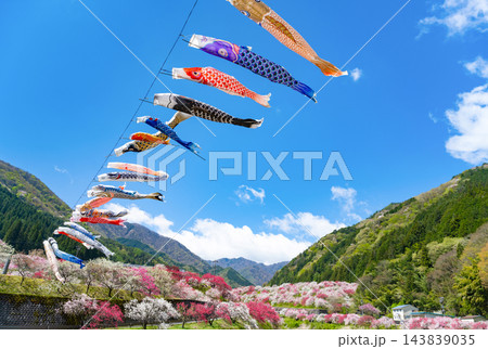 長野県阿智村 花桃の里 長野県阿智村 花桃の里 143839035