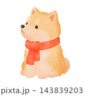 マフラーをまいた柴犬のカラーイラスト【背景透過】 143839203