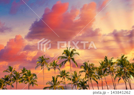 南国の椰子の木と美しい夕景 143841262