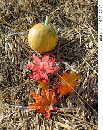 Small pumpkin and maple leaves on a straw background Small pumpkin and maple leaves on a straw background 143842212