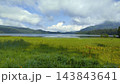 湿原に映る雲 143843641